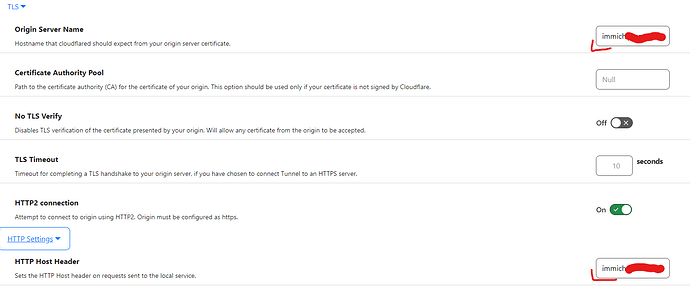 Настройка Cloudflare Tunel вместе с Traefik-1.png